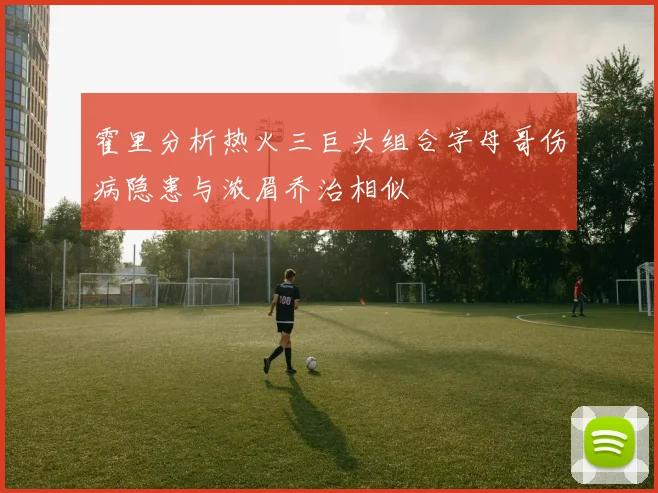 霍里分析热火三巨头组合字母哥伤病隐患与浓眉乔治相似